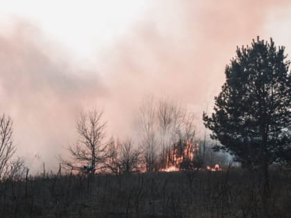 В Белгородской области начался пожар на объекте Минобороны: есть раненый