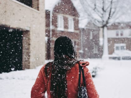 Синоптики рассказали о погоде в первые рабочие дни года в Воронежской области