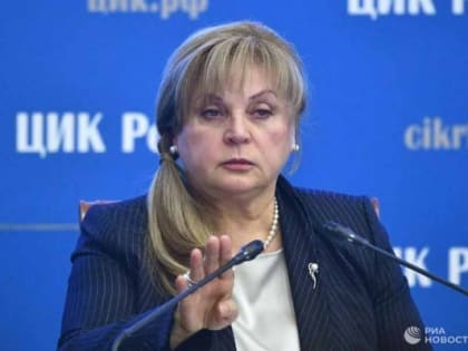 После скандала с воронежскими Вахтиными Памфилова осудила политтехнологов за выдвижение спойлеров на выборы