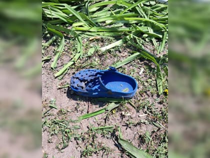 7-летний мальчик едва не лишился стоп из-за взорвавшегося боеприпаса в Белгородской области