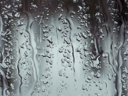 Последний понедельник зимы принесёт в Воронежскую область дожди