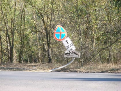 Необычный дорожный знак на пляже Усманки