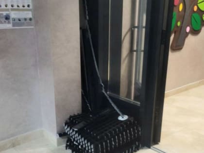 Неосторожность собственников приводит к происшествиям в Воронеже