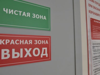 Более 485 тыс случаев ковида зарегистрировали в Воронежской области