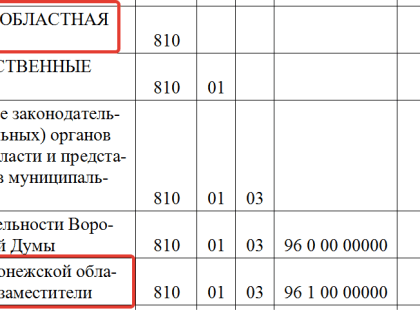 Увеличение бюджета на депутатов Воронежской области