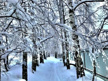 Погода в Воронеже и области 1 марта