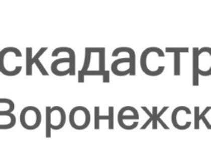 Землеустроительную документацию жители Воронежской области могут получить в Роскадастре