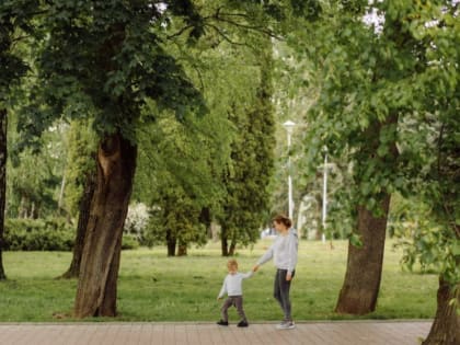 Популярный парк в Воронеже временно закроют для посетителей
