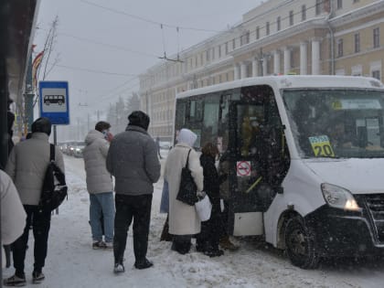 Новый автобусный маршрут запустят в Воронеже с 1 февраля