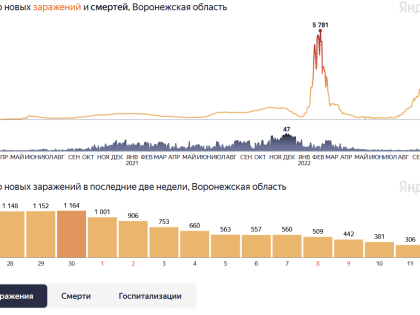 В Воронежской области продолжается снижение уровня заболеваемости COVID-19