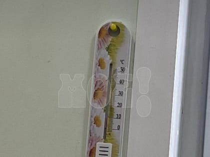 «В школе +9°»: воронежцы пожаловались на&nbsp;холод в&nbsp;гимназии имени Басова