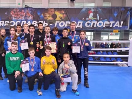 Воронежские кикбоксеры привезли с Чемпионата и Первенства ЦФО 12 медалей