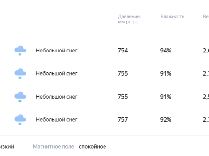 Погода 5 февраля в Новой Усмани будет снежной