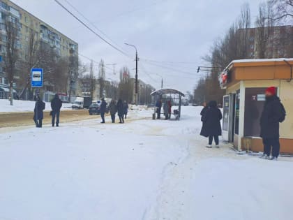 Чиновники рассказали, почему воронежцы не могут дождаться маршруток&nbsp;