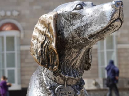 Воронежцам рассказали, когда на проспект Революции вернётся Белый Бим