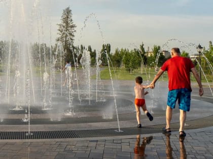 36-градусное пекло накроет Воронежскую область