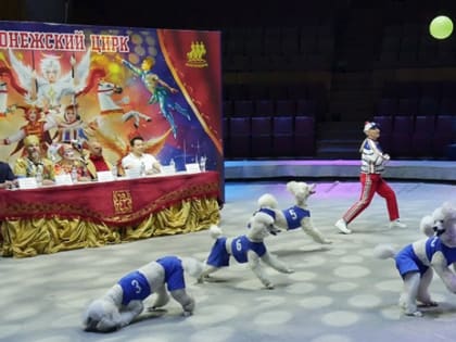 Воронежские зрители вспомнят детство вместе с новой цирковой программой «Вместе целая страна»