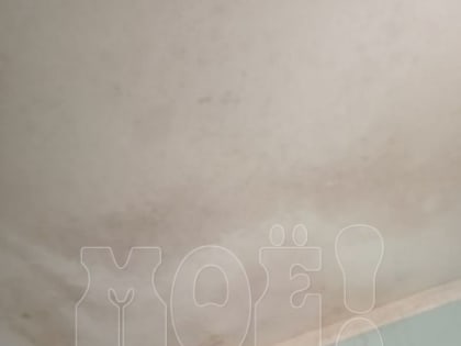«Испортился потолок, и стены почернели»