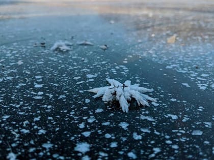 Погода 2 марта в Новой Усмани будет дождливой, снежной и пасмурной