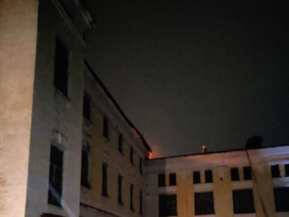 Аграрно-экономический техникум загорелся вечером в Воронежской области