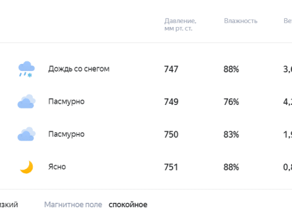 Погода 4 декабря в Новой Усмани будет дождливой и пасмурной