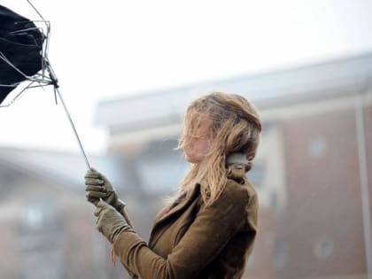 Воронежцев вновь предупредили о сильном ветре