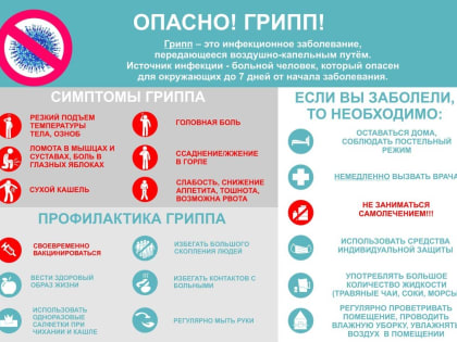 Профилактика ОРВИ и Гриппа