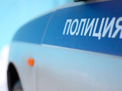 Полиция разоблачила мошенника, похитившего более миллиона рублей