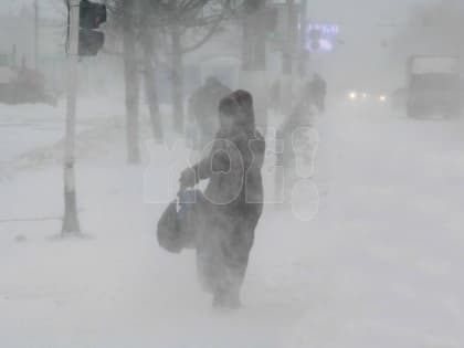 Синоптики рассказали, на сколько задержится метель в Воронеже