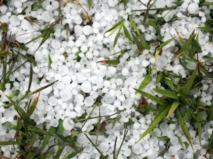 Воронежцев предупредили о грозе и граде