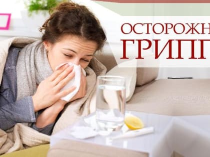 Интернет-проект «Вестник ЗОЖ». Профилактика гриппа и его осложнений