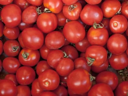 В Воронежской области подорожали помидоры