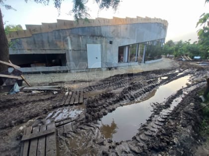 Воронежские десантники не отметят свой день в новом музее ВДВ