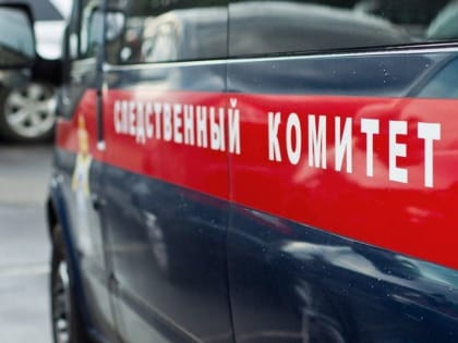 Александр Гусев и Владимир Нетёсов поздравили воронежских следователей с профессиональным праздником