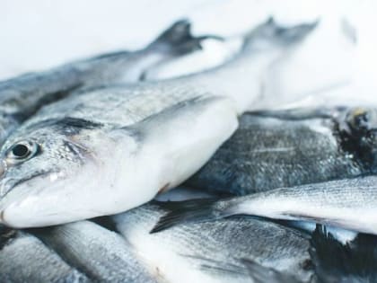 Под Воронежем на 2 недели закрыли рыбный цех из-за случая заражения ботулизмом
