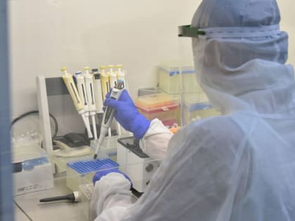 В Воронежской области выявили почти 350 новых случаев COVID-19