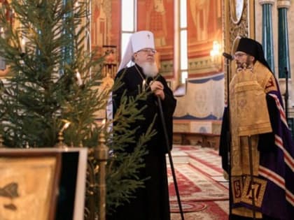 Епископа Россошанского и Острогожского Дионисия представили в Воронежской области