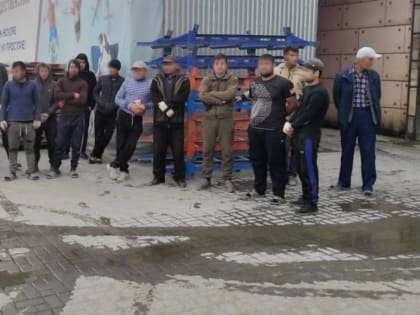 26 мигрантов выдворят из Воронежской области