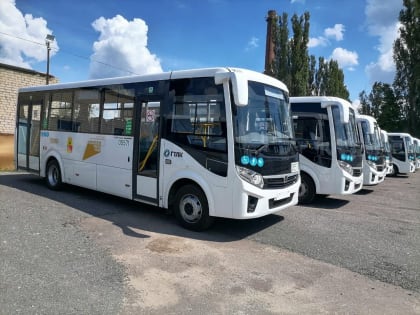 Изменения в маршрутах городского транспорта Воронежа не будут реализованы