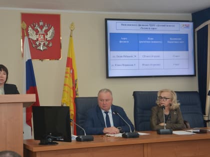 Проверки бюджета Воронежской городской Думы