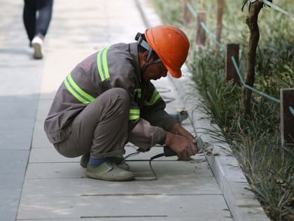 Из Воронежской области выдворят 26 незаконных мигрантов