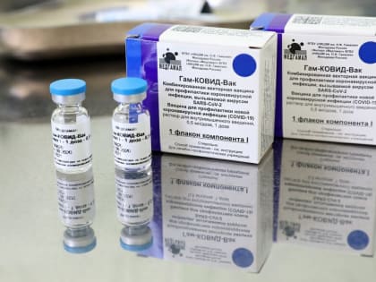 В Воронежской области за сутки выявлен 51 случай ковида