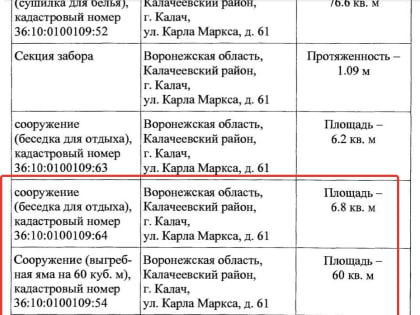 Морг, туалеты и выгребные ямы помогут воронежским чиновникам пополнить бюджет