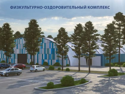 У воронежского «Дельфина» построят спортивный центр на 100 млн рублей