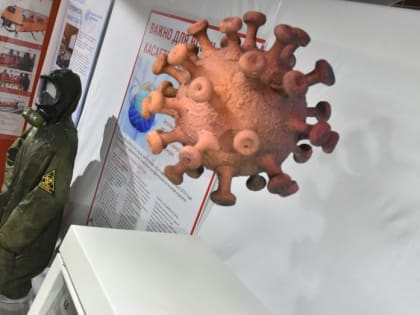 Заболеваемость COVID-19 в Воронежской области выросла до 63 случаев в сутки
