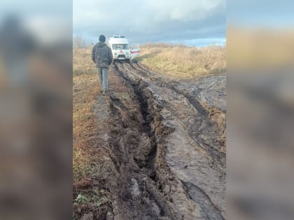 Под Воронежем селяне час вытаскивали из грязи застрявшую на дороге «скорую» с пациентом