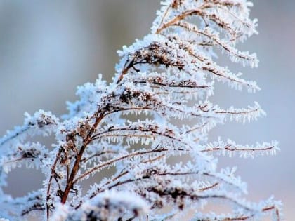 Погода 6 января в Новой Усмани будет снежной утром и днем, малооблачной вечером