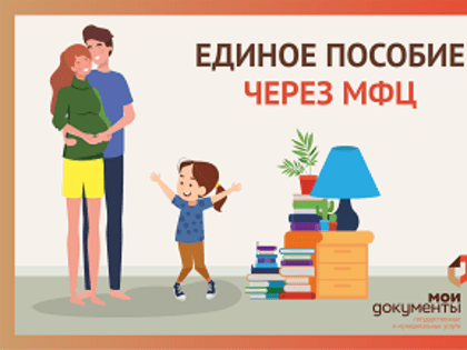 Центры «Мои Документы» Воронежской области приступили к приему заявлений по новому единому пособию