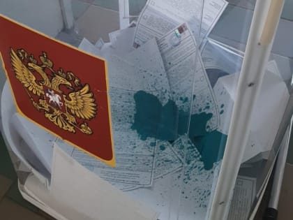 «Может быть квалифицировано как госизмена»: воронежцам напомнили об ответственности за порчу урн и бюллетеней
