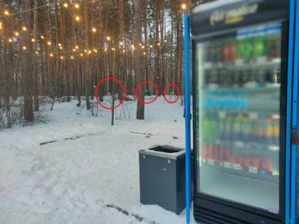 Воронежцы пожаловались на защитников собак, которые установили будки около киосков